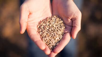 розпоряджатися своїм часом