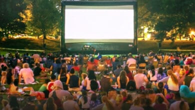 Кінофестиваль