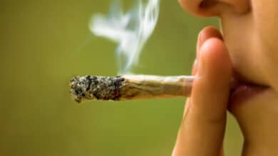 палять канабіс