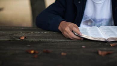 Життя Катерини