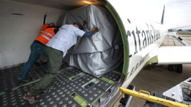 Сумка Самарянина