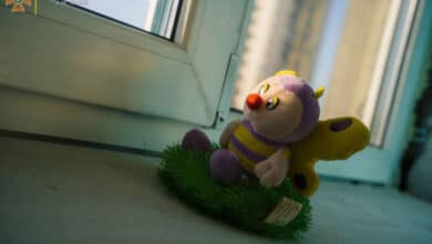 окупанти примусово вивезли