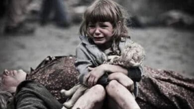 спрощення процедури усиновлення