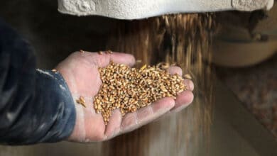 Війна в Україні