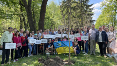 висадка алеї