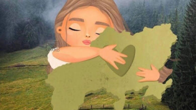 Питання України