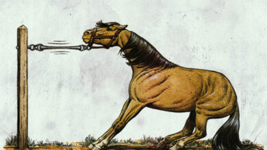 про коня і диявола