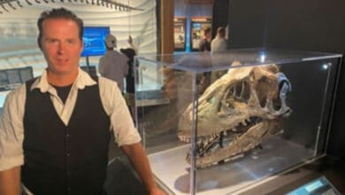 у музеї «Творіння»