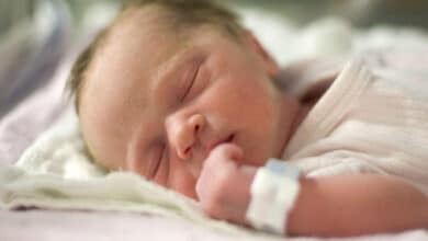 в Україні народилося