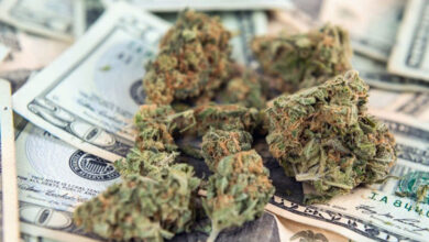 про легалізацію канабісу