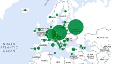 в Україну повернулося