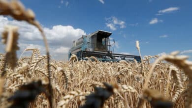 Голод Україні не загрожує