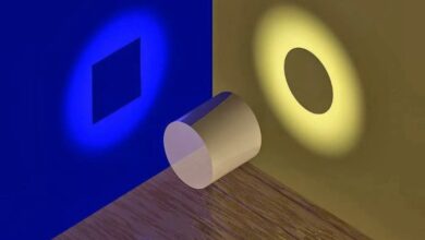 Правда та істина