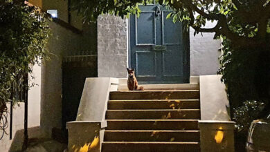 сталося зі мною