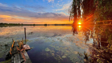 питання влади