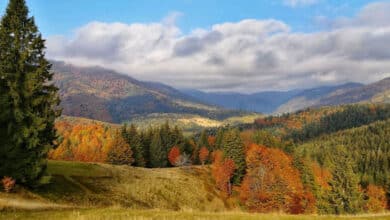Про емоційний інтелект