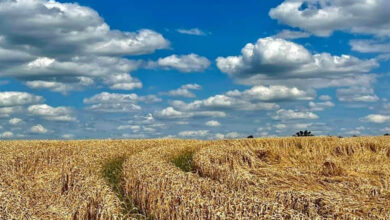 вічне життя