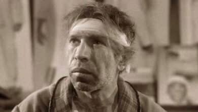 види безумства