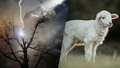 Уявлення про Бога