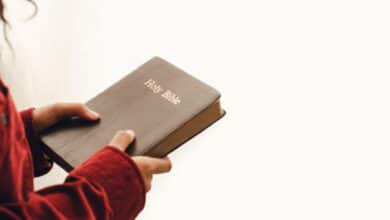 вірять у те, що Біблія