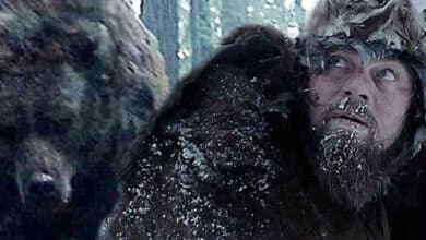 Україна після перемоги