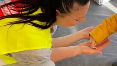 християнська організація