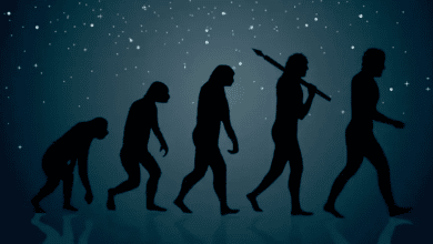 теорія еволюції