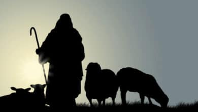 Пастир Добрий