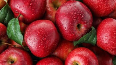 переваги яблук