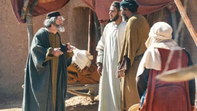 про робітників у винограднику