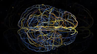 непрощення