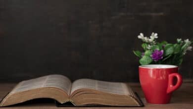 погляд на знання