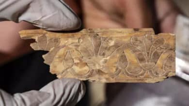 таблички зі слонової кістки