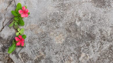 Все випадково