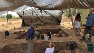 військові кампанії