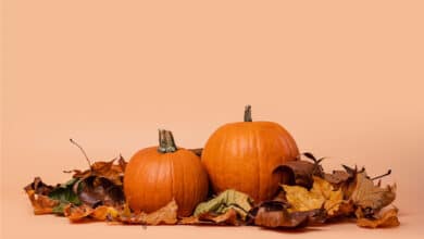 відношення для Хелловіна