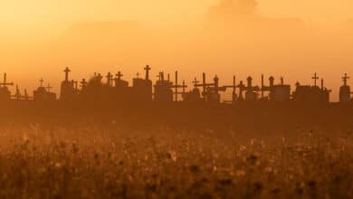 після смерті