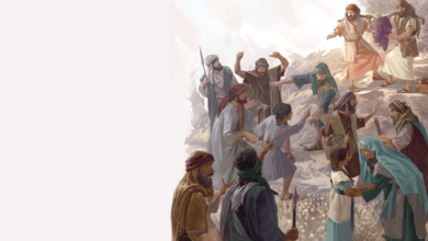 Дезорієнтація