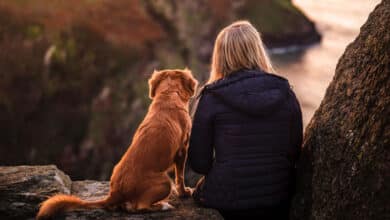 повернення до Раю