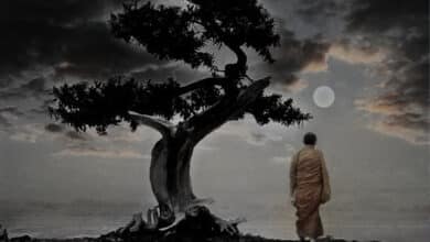 бачити картину цілком