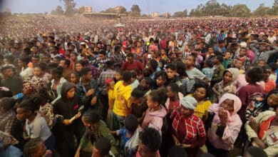 євангелізаційний крусейд