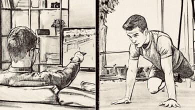 культура комфорту