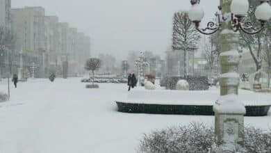 Напередодні Нового року