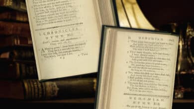 Чудова ласка