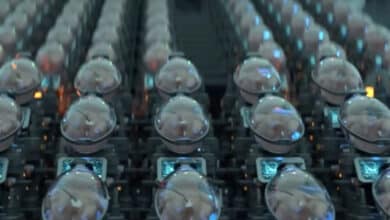 Проєкт штучної матки