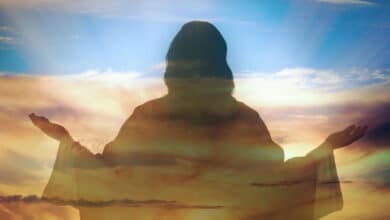 сни та видіння