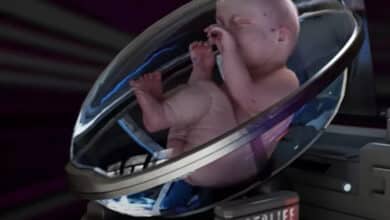 технології штучної утроби