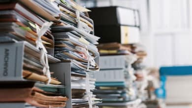 подання звітності