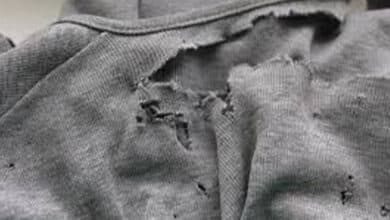 публічно ображати