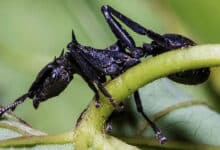 пошук маршруту